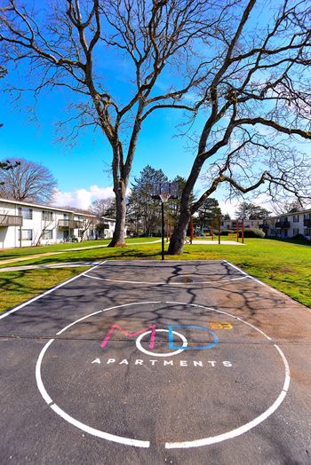 Basketball court in park